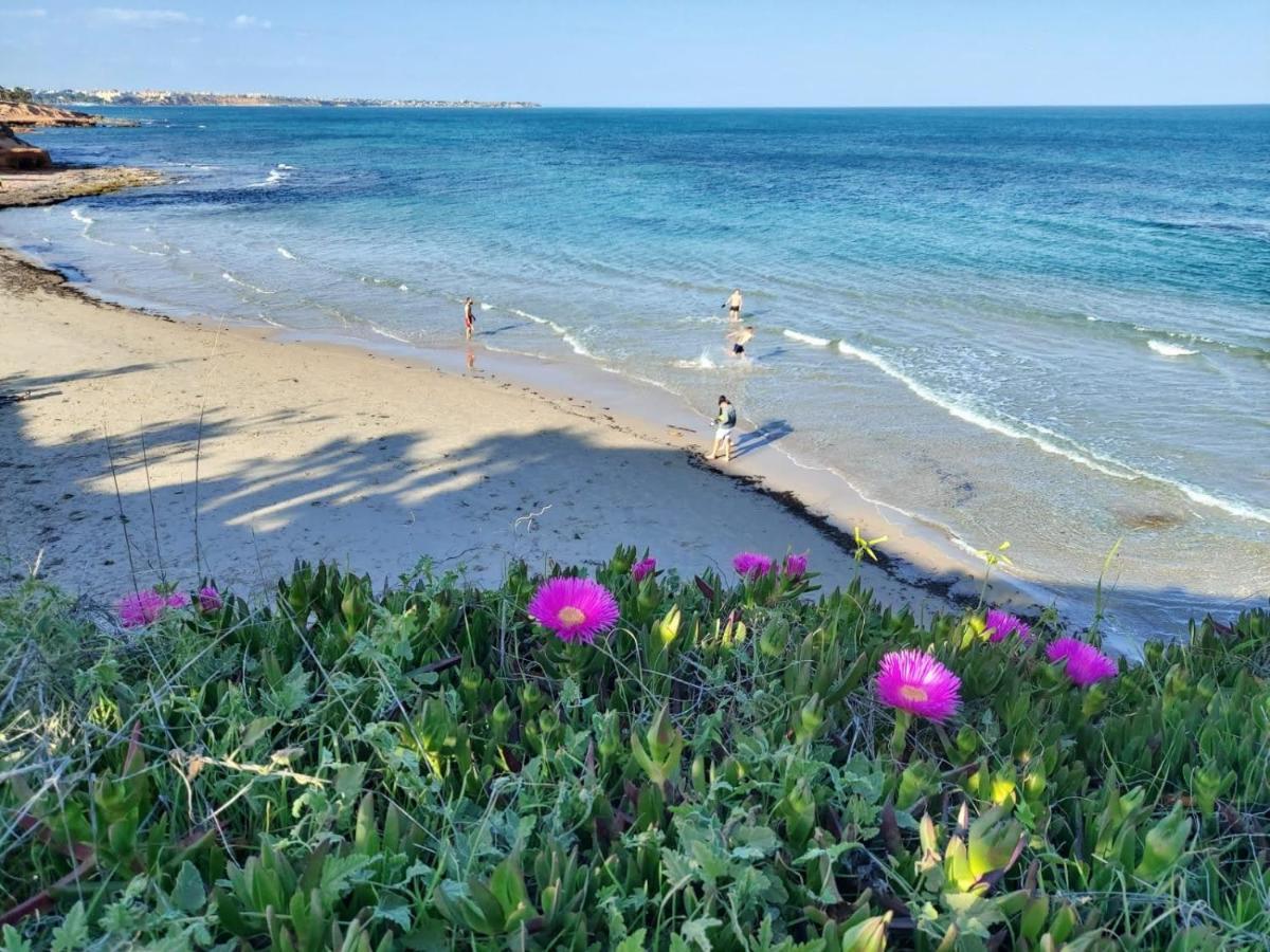 Dehesa de Campoamor  El Apartamento De Papa - Mil Palmeras מראה חיצוני תמונה